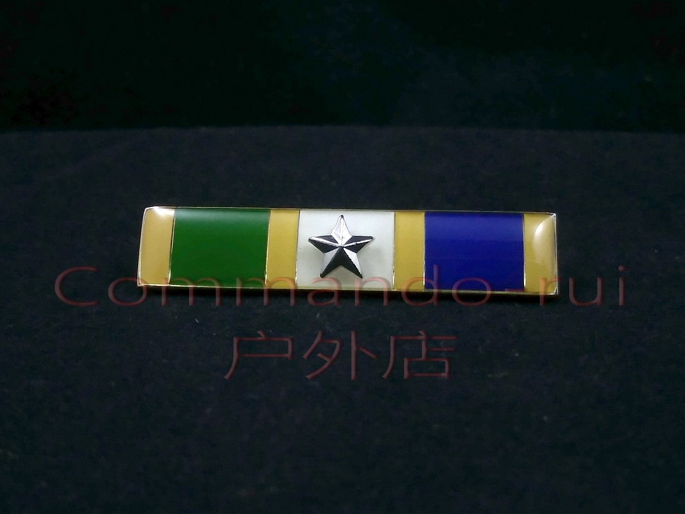 American New York Honorary Medal Honorable Mention metal honours badge 