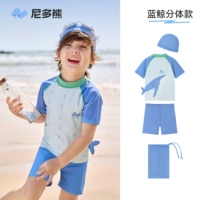 Голубой морской кит с двумя частями