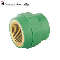 Hongtian building materials household water pipe ppr63mm200mm internal thread Pipe sleeve