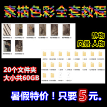 Sketch HD video tutorial full set of still life character landscape teaching color painting basic technique demonstration