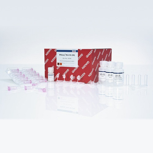 Qiagen 74104  总RNA小提试剂盒 50T