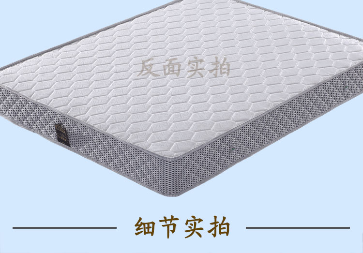 Hippocampus nệm lò xo đôi Simmons 1,5 1,8 m kép sử dụng dừa xanh Đặc biệt cọ nệm mat cứng và mềm - Nệm nệm mút