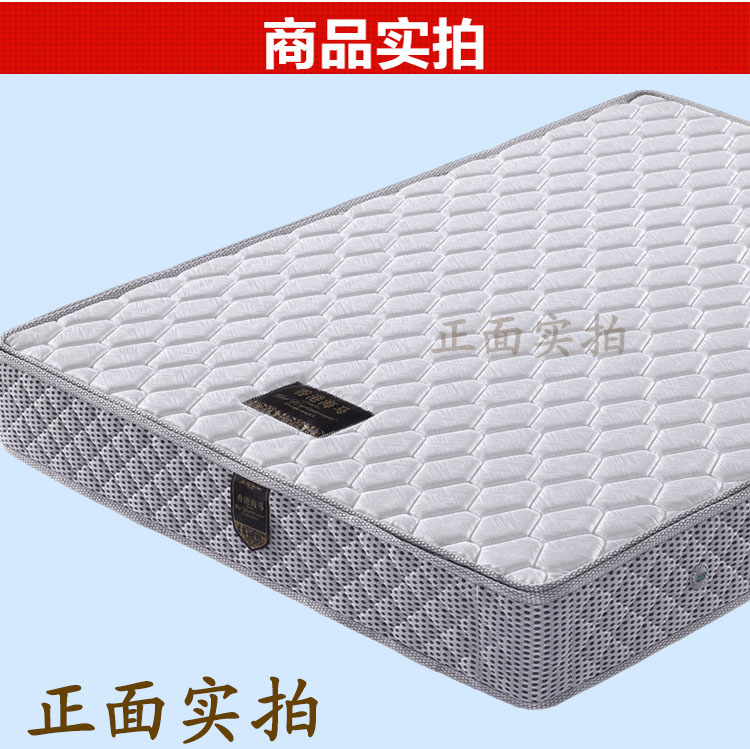 Hippocampus nệm lò xo đôi Simmons 1,5 1,8 m kép sử dụng dừa xanh Đặc biệt cọ nệm mat cứng và mềm - Nệm nệm mút