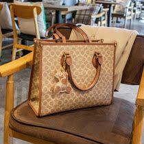  Great God recommends pet backpack 2021 new printed shopping bag tote large capacity one shoulder portable womens bag