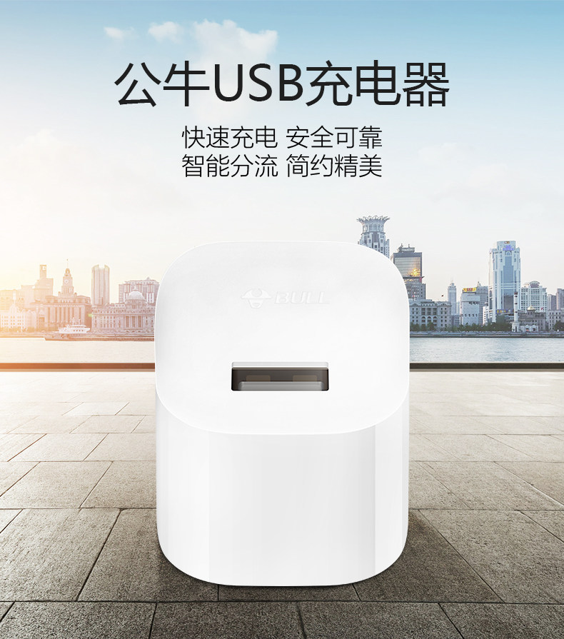 chargeur BULL - Ref 1291715 Image 6