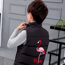 Childrens vest autumn and winter models 2019 new middle and large childrens padded down cotton vest girl vest