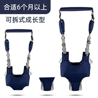 Полный стадий тип-шест (Four Seasons Dark Blue