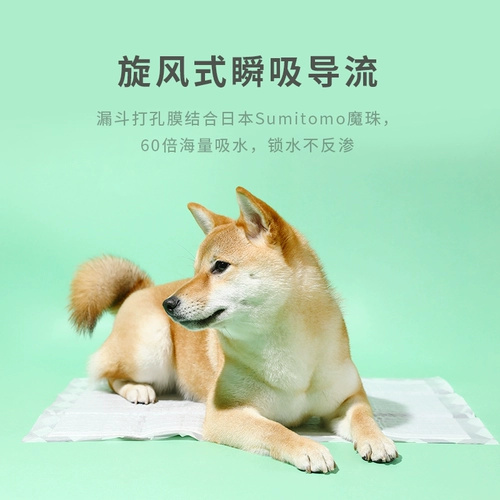 Сосание по медовому убору, бусинки, поставки собаки, водопоглощение, подгузники, сырость, влажная и влажная