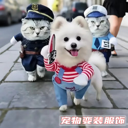 Dog Clothes for Small Dogs, Funny and Quirky Transformation Outfits, Teddy Cat Creative Clothing, Pet Cat Apparel