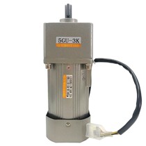 300W Micro vertical AC gear decelerated asynchronous motor three-phase 380V fixed speed single-phase 220V motor