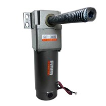 View Mile 450W DC Straight to-back motor with carbon brush horizontal vertical lifting deceleration motor 12V24V220V