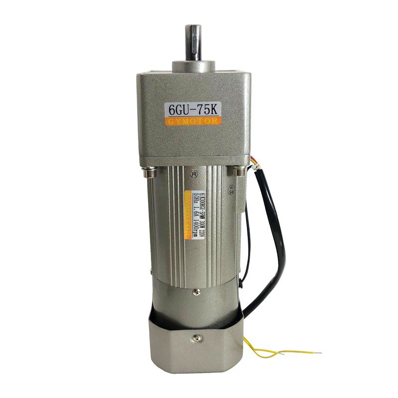 Manufacturer direct sales micro AC speed reduction electromagnetic brake motor 300w throttle constant speed motor 220v 380v