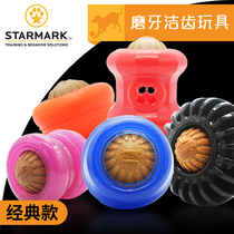 STARMARK Stars Pet Toys Dog Toys Grill Tooth Cleansing Training Rubber Ball Teddy Golden Hair Border Bears