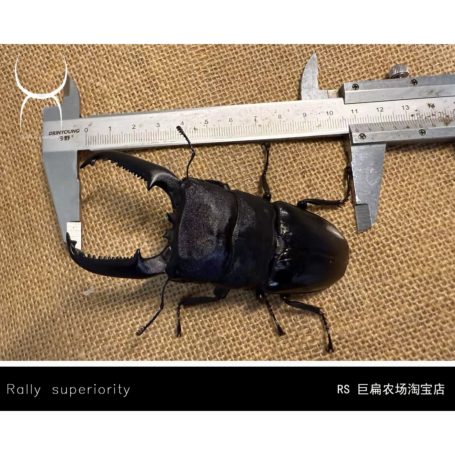 血虫净怎么用?2025最新正确使用方法全解析