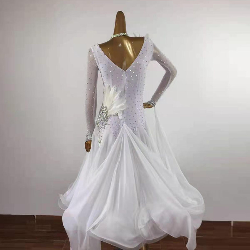 The Morden Dance National Mark Dance out of the Waltz Performance Costume Social Dance Large Pendulum With a Feather Decorated Dance Dress