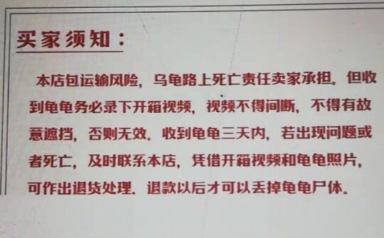 The Joujoux Live is dedicated to super-connected