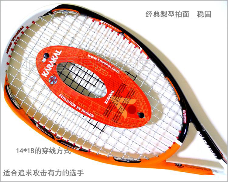 Anh mèo Ba Tư KARAKAL nano titan carbon TECLITE-140 (GEL) squash vợt wilson pro staff team 280g