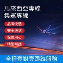 International Express Singapore Express Malaysia Taiwan Special Line Delivery Shenzhen Collection Line Logistics Delivery to the Gate