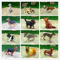 Absorbent stone rockery Bonsai Bonsai fleshy flower pot plant decoration Gardening supplies Children cognitive animal puppy