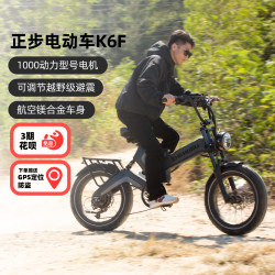 Zhengbu New National Standard Foldable Electric Vehicle Adult Off-road Motorcycle Helps Mountain Bike Long Endurance Battery Car