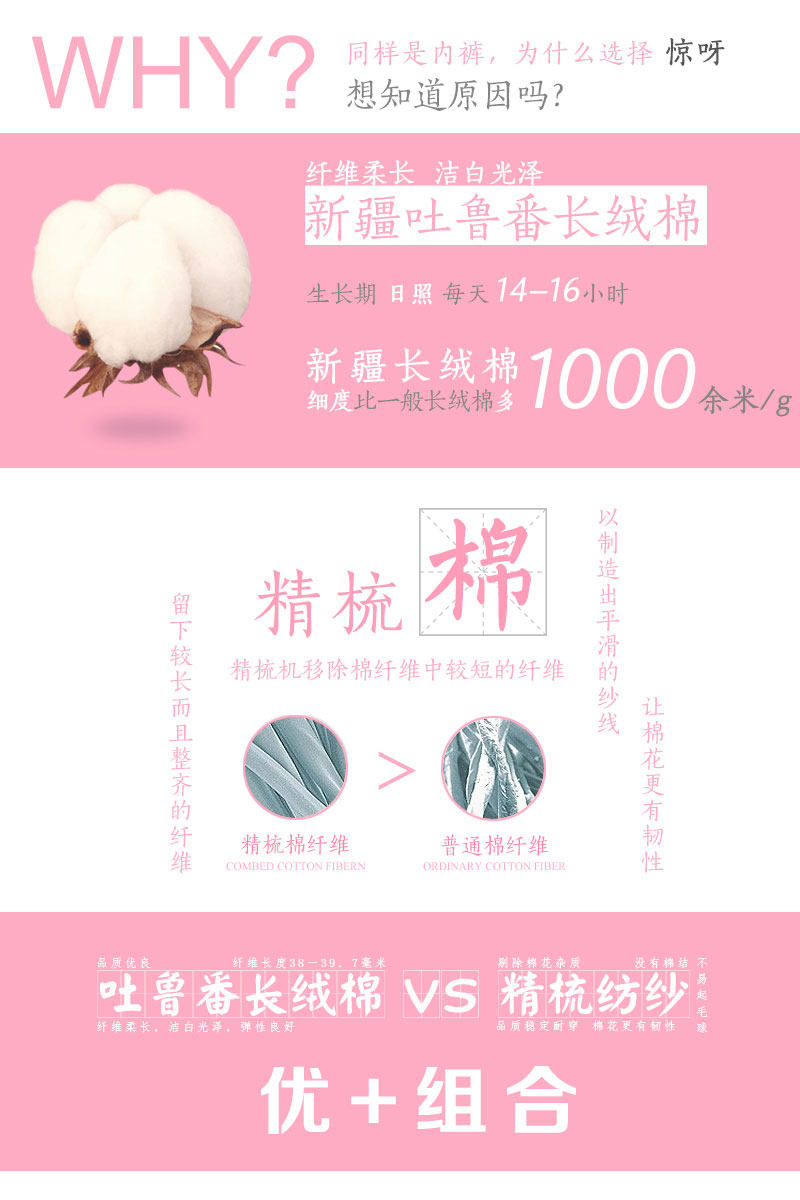 Slip jeunesse en coton - Ref 640302 Image 7