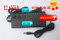 Factory direct 12V1A2A3A5A10A lithium battery Smart Charger full variable lamp self-stop 12 6v foot safety