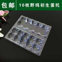 10 - packed wild eggs - birth eggs - Egg - nest egg - plastic transparent egg - box - egg - tray