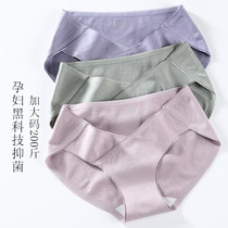 Increase the number of pregnant womens underwear 200 catties low waist pure cotton mulberry silk anti-bacterial toabdominal pregnancy early mid-period