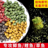 Резиновая полоса красная червя гнезда