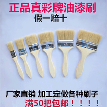  Paint brush brush Industrial real color brand 1 inch 2 inch 3 inch 4 inch 8 inch barbecue soft hair glue pig hair brush