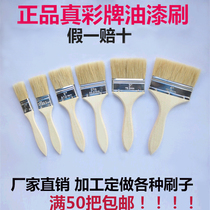 Paint brush brush Industrial real color brand 1 inch 2 inch 3 inch 4 inch 8 inch barbecue soft hair glue pig brush