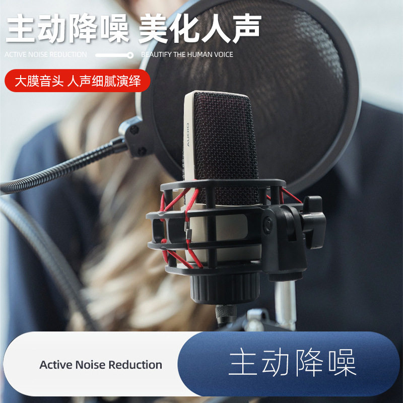 Aivile Zhenis Membrane Capacitive Microphone Flat Live Anchor Private Mic Recordings K Song Games Generic