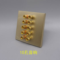 Golden 86 type speaker binding post ten-hole audio 5 sets of audio speaker sockets 10-head speaker panel banana seat