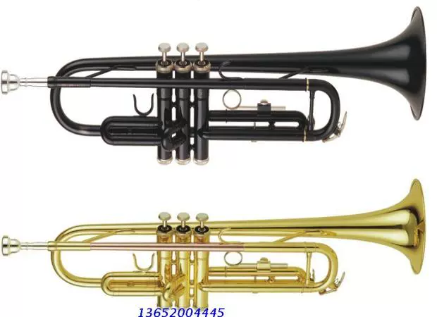 HRSD / Walston Nhạc cụ Màu xanh Trumpet Nhạc cụ B-phẳng nhỏ bằng đồng ống nhỏ có thể là tiền mặt khi giao hàng - Nhạc cụ phương Tây kèn saxophone soprano