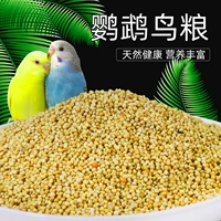 Новая желтая долина попугая птицы едой пищевая продукция тигр пиони без попугая птица Птица Смешанная пищевая зерно