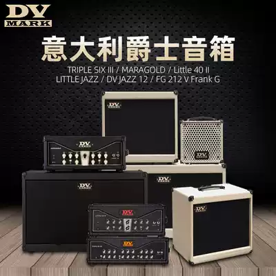 Perth piano line DVMark jazz electric guitar speaker Little40 DV MICRO50 portable vacuum tube