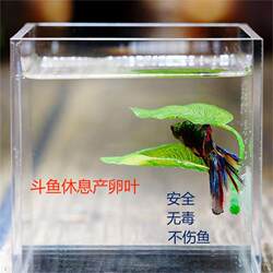 Thai Fighting Fish Special Resting Leaf, Simulated Sleeping Bed, Hiding Leaf, Spawning Leaf, Ornamental Fish Tank Landscaping Decoration