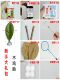Thai Betta Fish Beginner Care Yellow Powder Methyl Blue Betel Leaf Resting Leaf Special Fish Food for Bettas