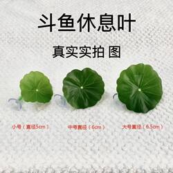 Betta Fish Sleeping, Resting, Spawning, Leaf-Shaped Aquarium Decoration, Artificial Leaf Fish Pet Decoration, Hiding Lotus Leaf