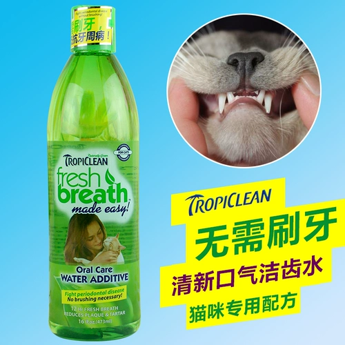 Красивый  溆 卩 卩 卩 卩 473ml 姥 姥 崾  臭 谇 谇