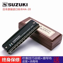 SUZUKI Japan Original Suzuki HA-20 Hammond harmonica Suzuki 10 Kong Blues Blues ten Kong harmonica