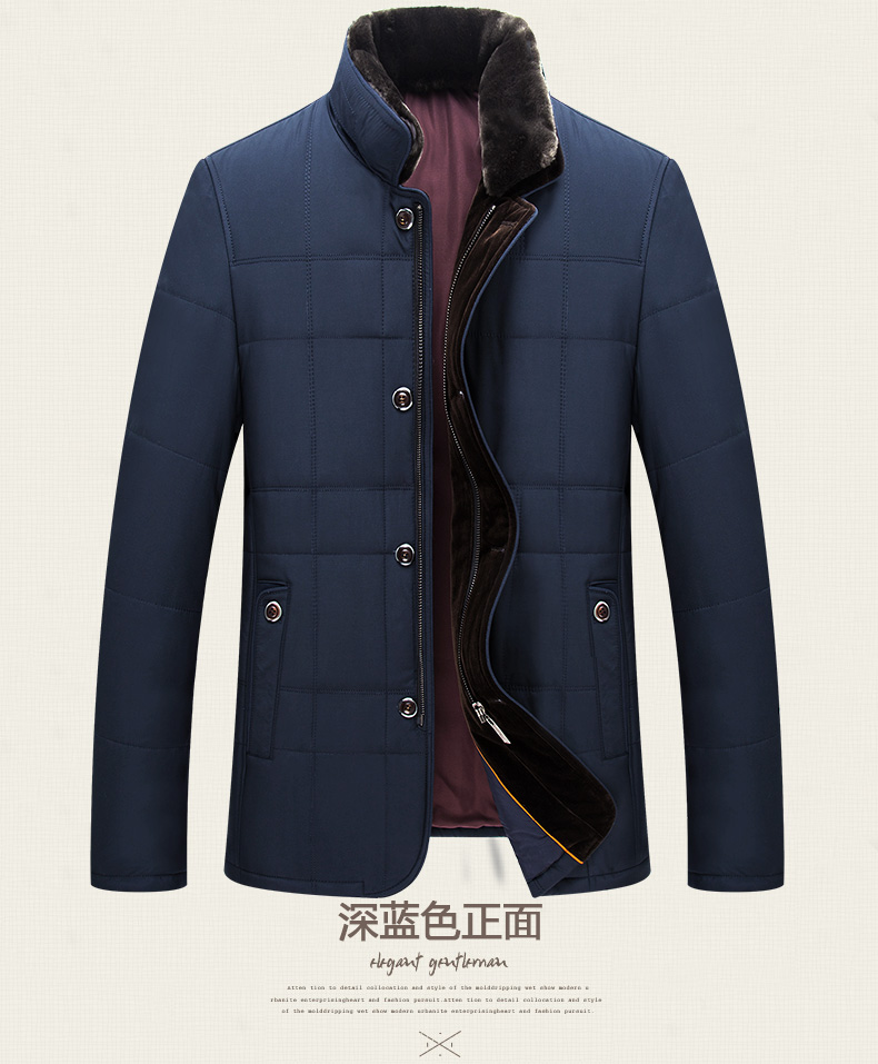 Blouson hiver pour homme      en Polyester - Ref 3115424 Image 18