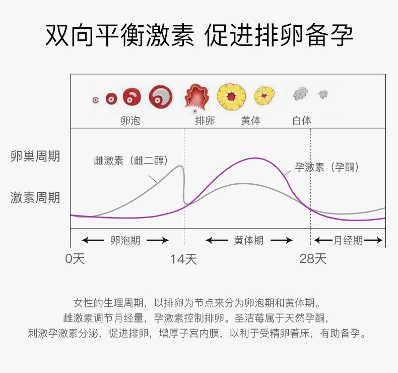 新西兰进口圣洁莓胶囊高浓度精华60粒