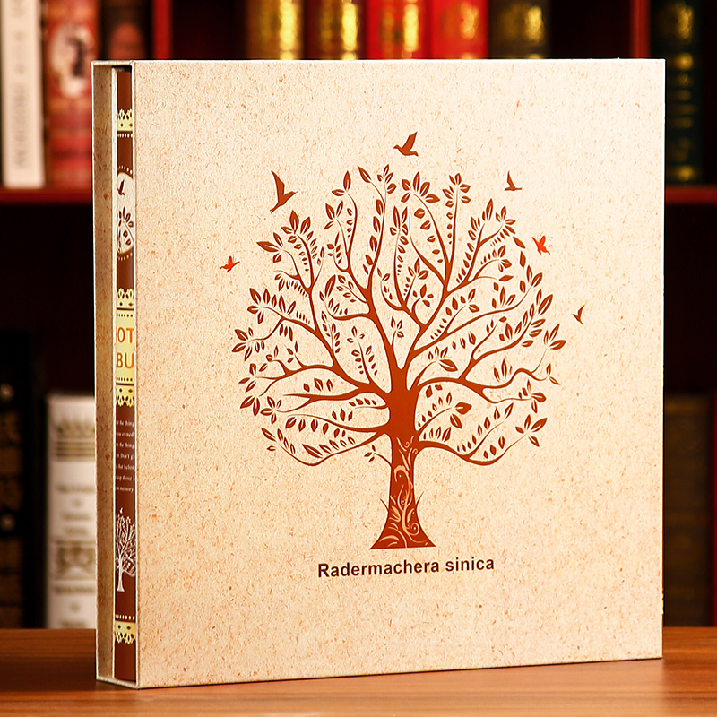 5インチ 6インチ 1198枚フォトアルバム 記念アルバム 大容量 インサート式 ファミリーバージョンフォトアルバム 写真収納アルバム