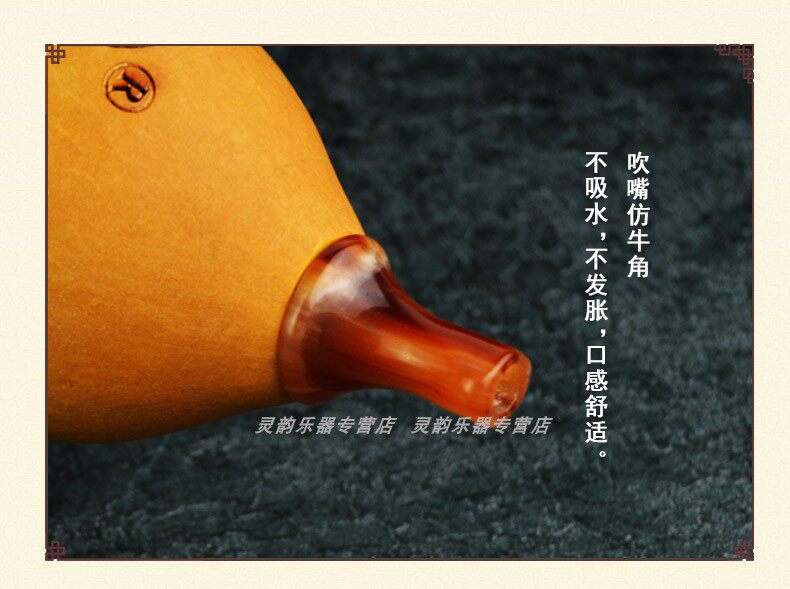 Двойной сведения о тыквой тыква 02_05.jpg