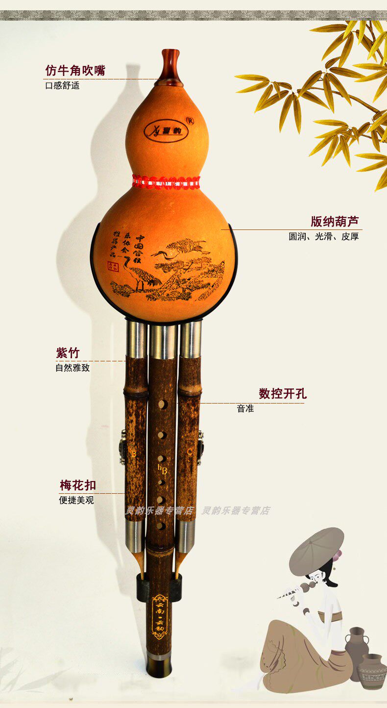 Двойной сведения о тыквой тыква 01_03.