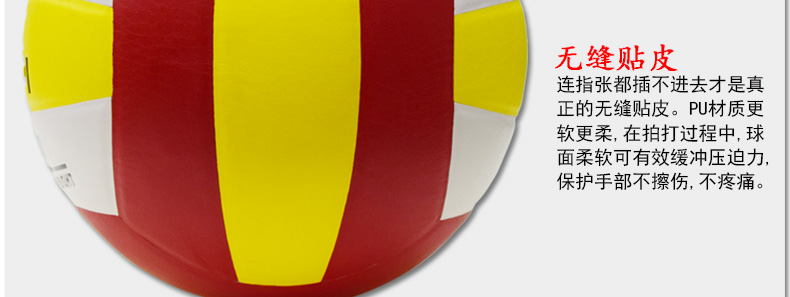 Ballon de volley - Ref 2009078 Image 33