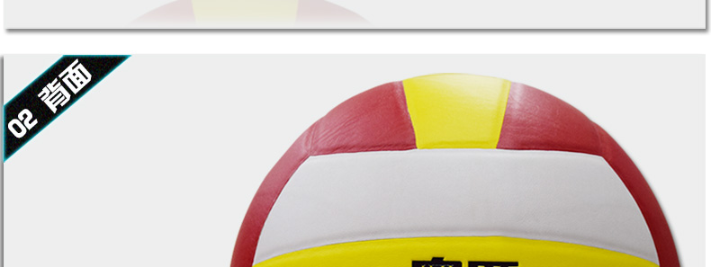 Ballon de volley - Ref 2009078 Image 30