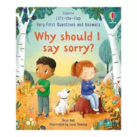 Почему я должен извиняться