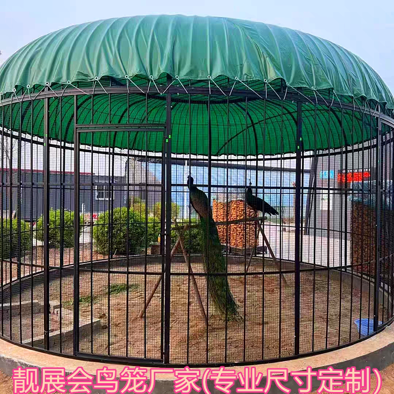 Wrought Iron Bird Cage with Mesh, Parrot Bird Cage, Outdoor Large Super Giant Bird Cage, Decorative Peacock Stainless Steel Bird Cage